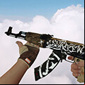 With Standard Model Skins